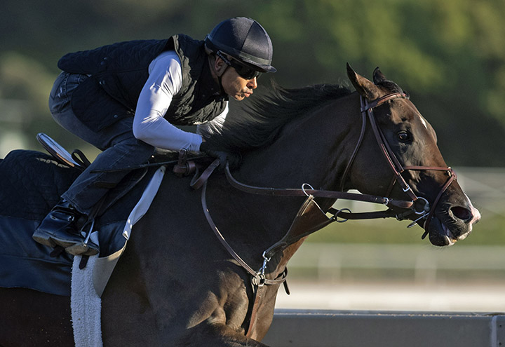 Omaha Beach trains at Santa Anita Park on Oct. 23