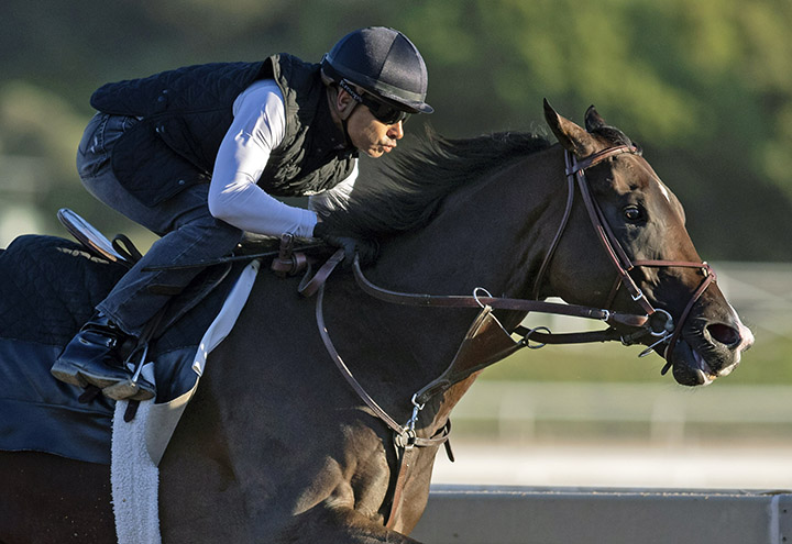 Omaha Beach trains at Santa Anita on Oct. 23