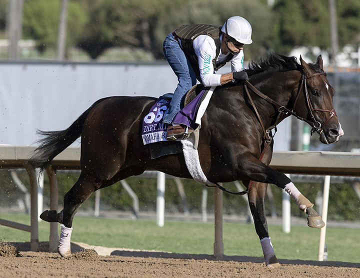 Omaha Beach trains at Santa Anita Park on Oct. 29