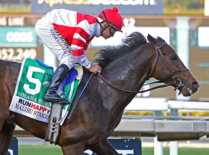 Omaha Beach and Mike Smith win the 2019 Malibu Stakes at Santa Anita Park