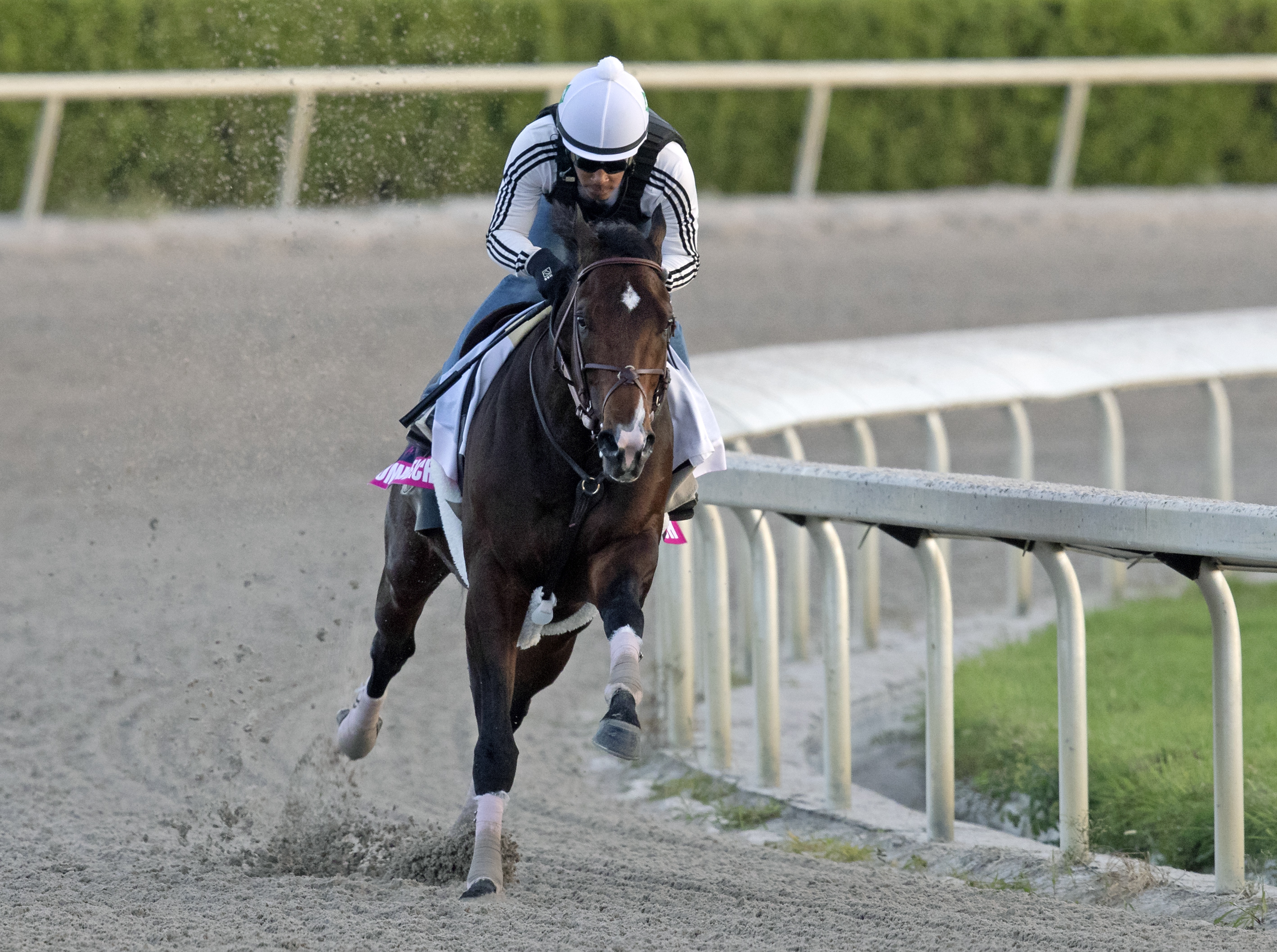 Omaha Beach works at Gulfstream Park on 1.19.20