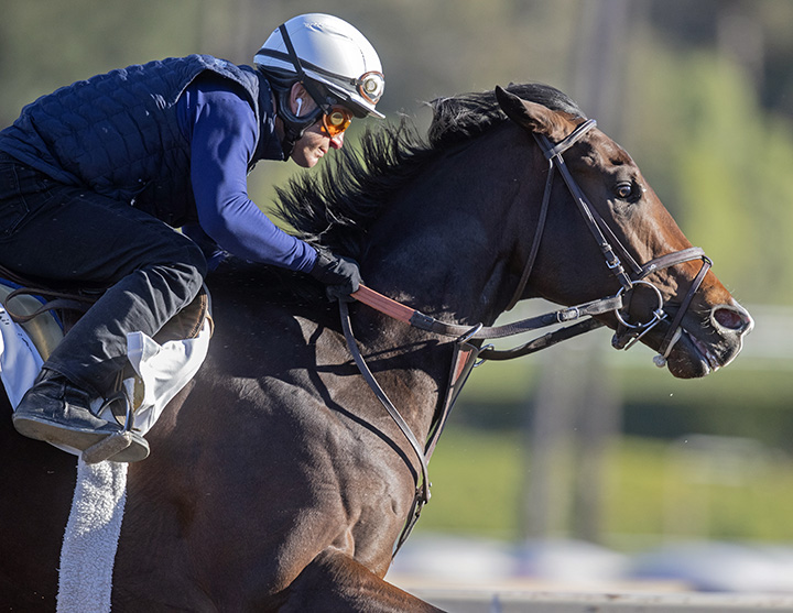 Omaha Beach trains at Santa Anita on Feb. 18
