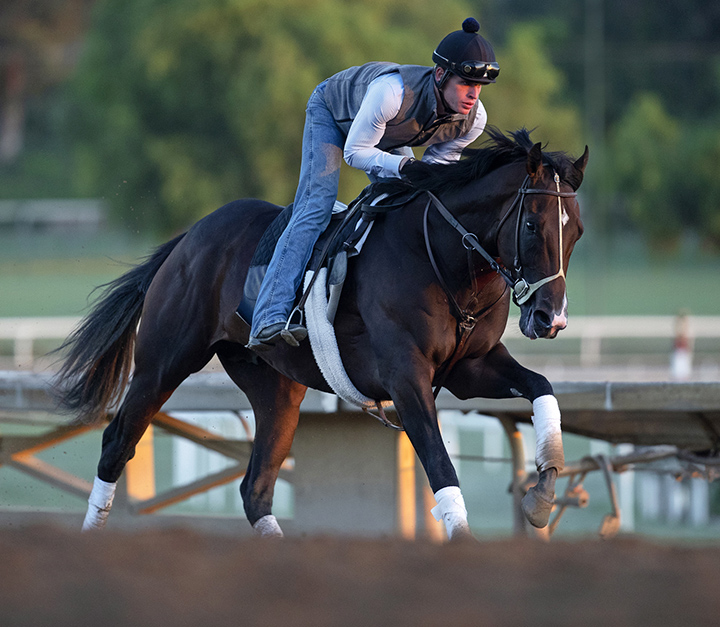 Omaha Beach trains at Santa Anita on Oct. 20