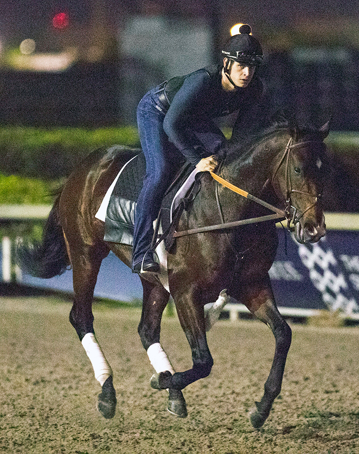 Omaha Beach at Gulfstream Park on Jan. 17