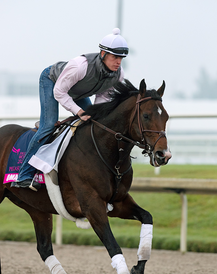 Omaha Beach trains at Gulfstream Park on Jan. 23
