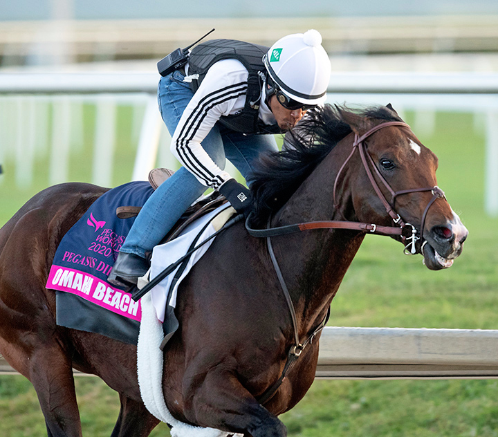 Omaha Beach works at Gulfstream Park on Jan. 19