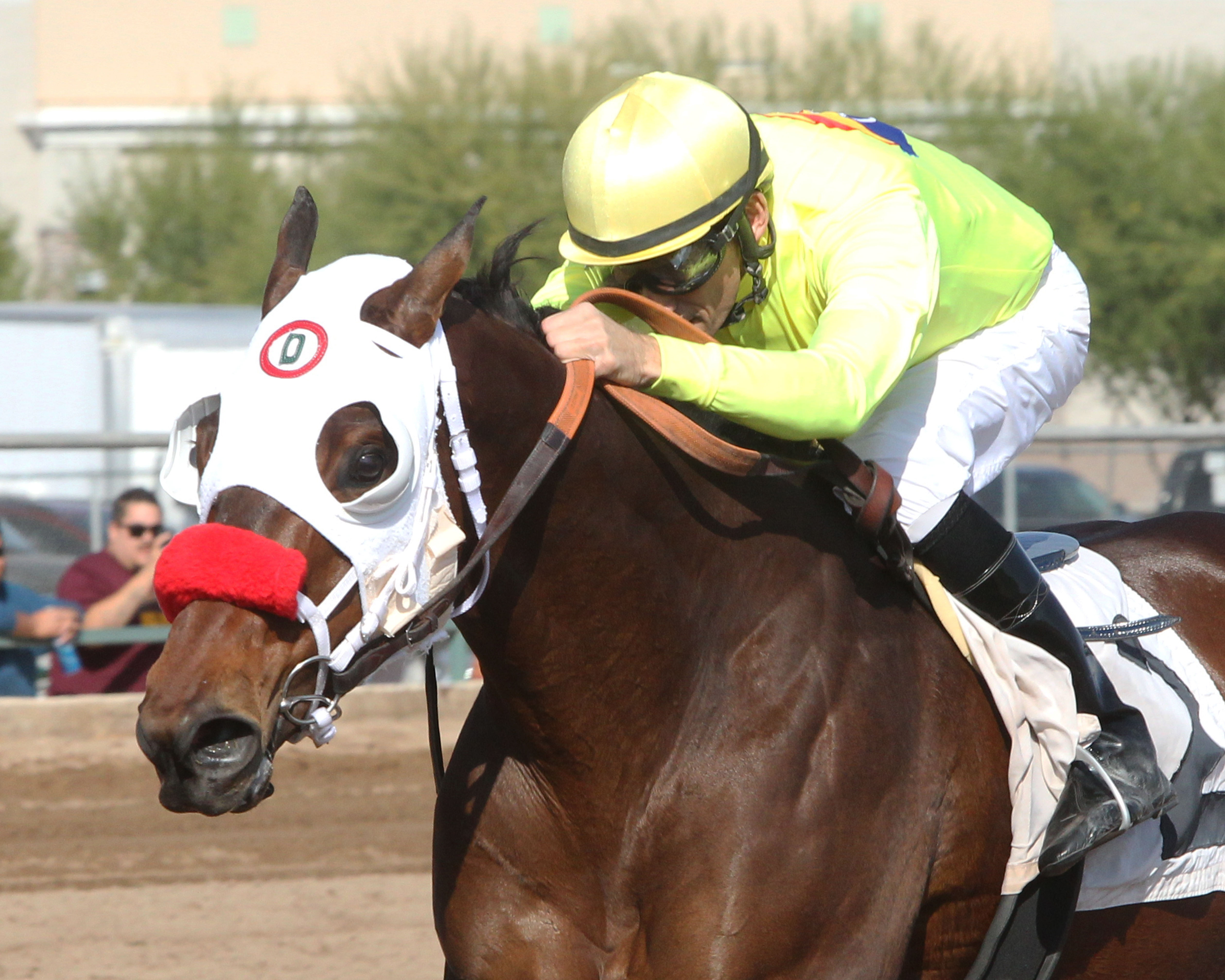 Omar 11-15-2014