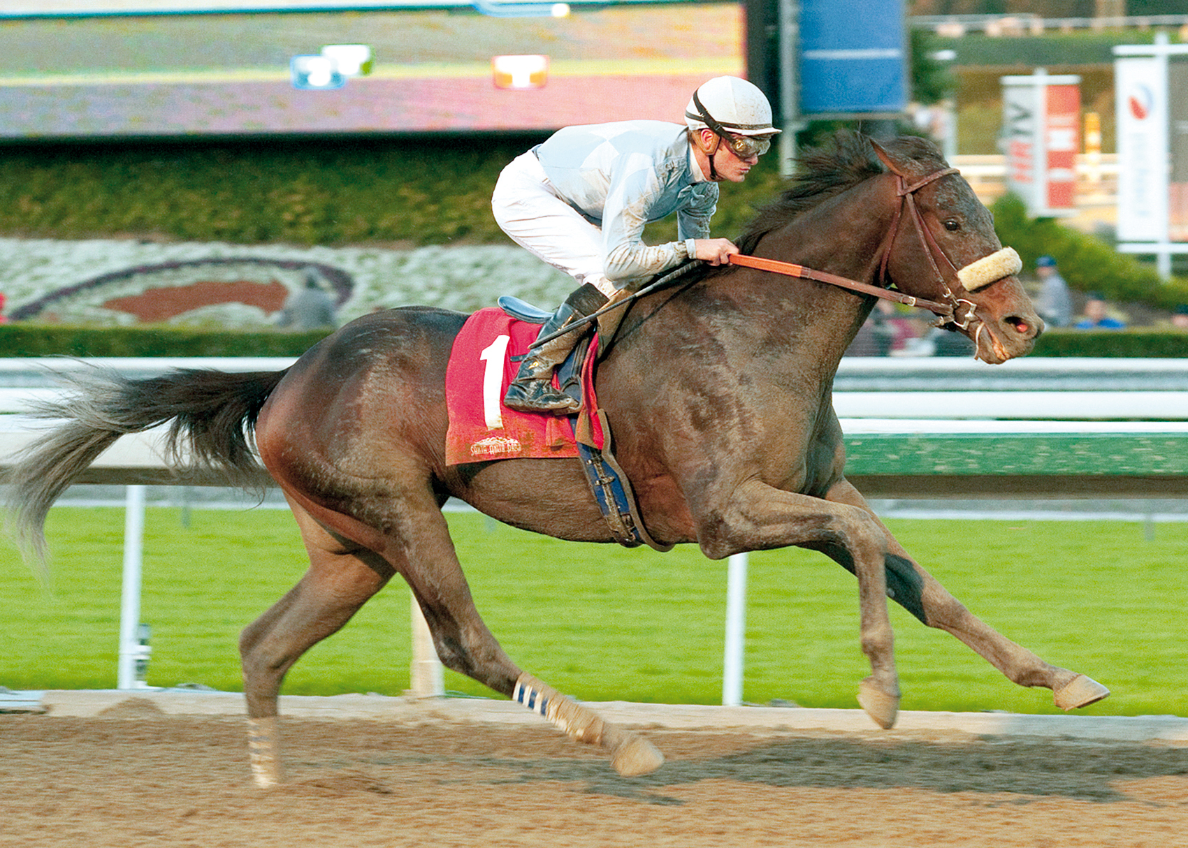 Omega Star, maiden win