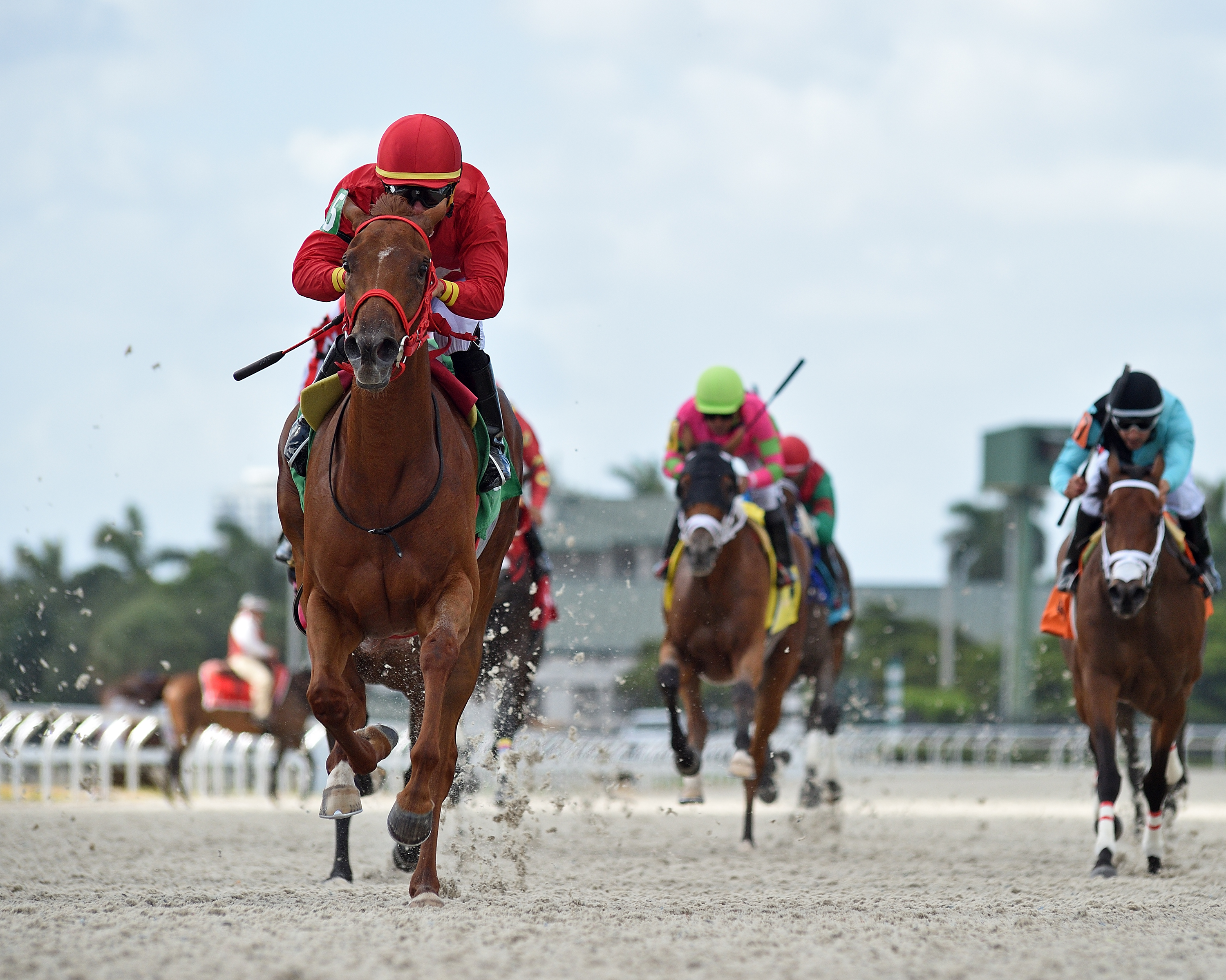 Omixochitl wins Miss Grace 7-23-2022