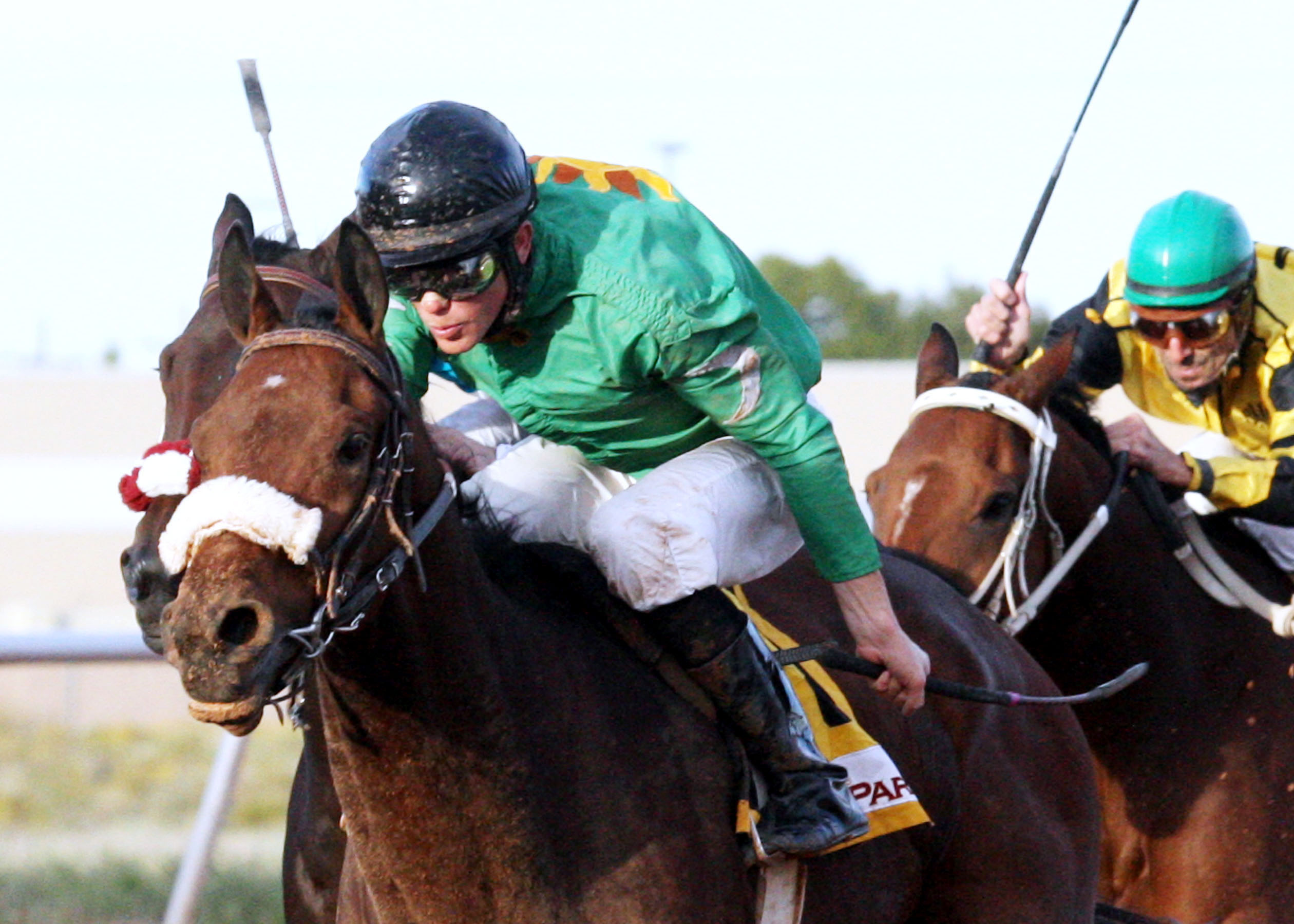 On Down the Road wins the Rocky Gulch New Mexico Classic Championship