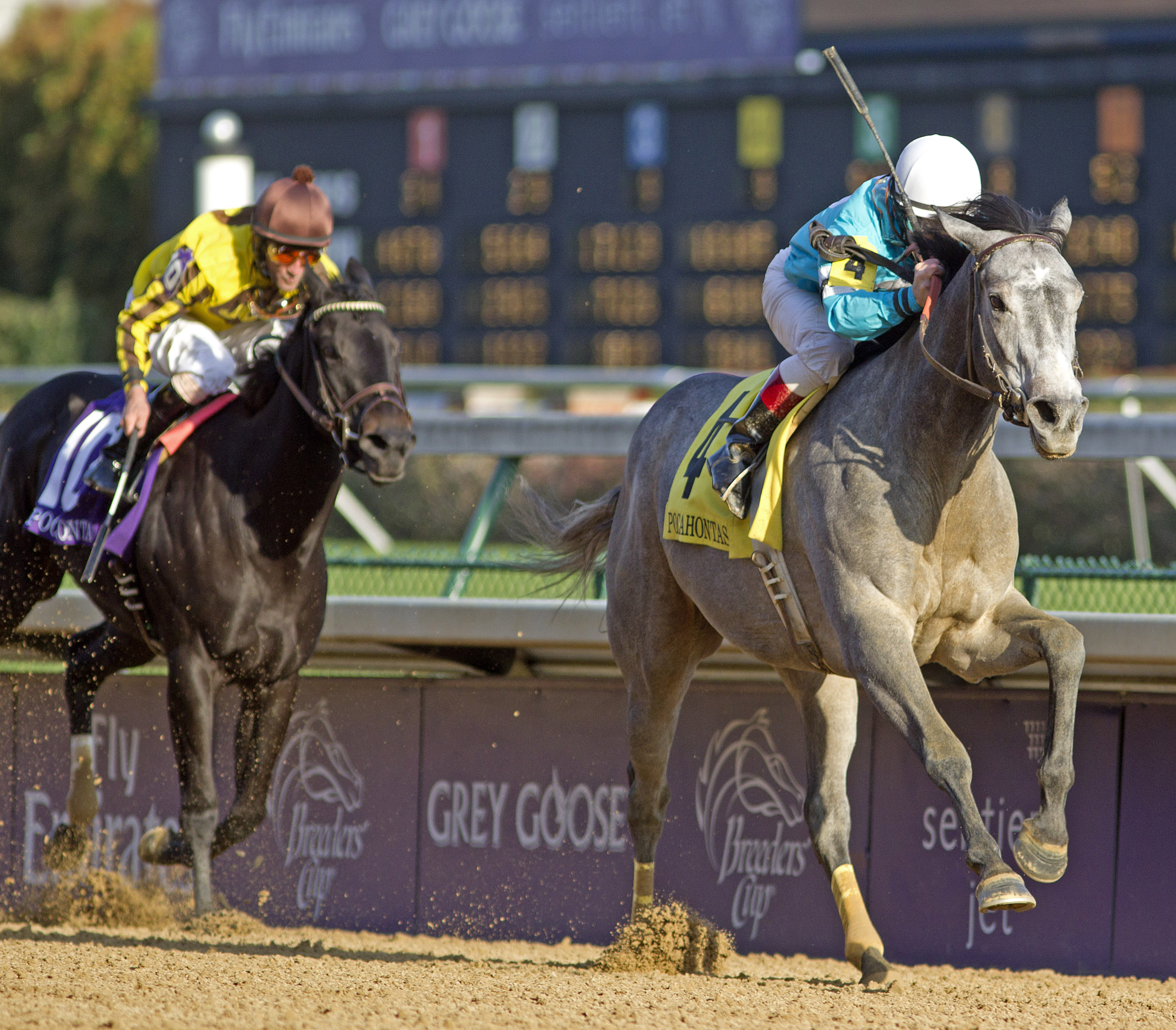 On Fire Baby, Pocahontas Stakes