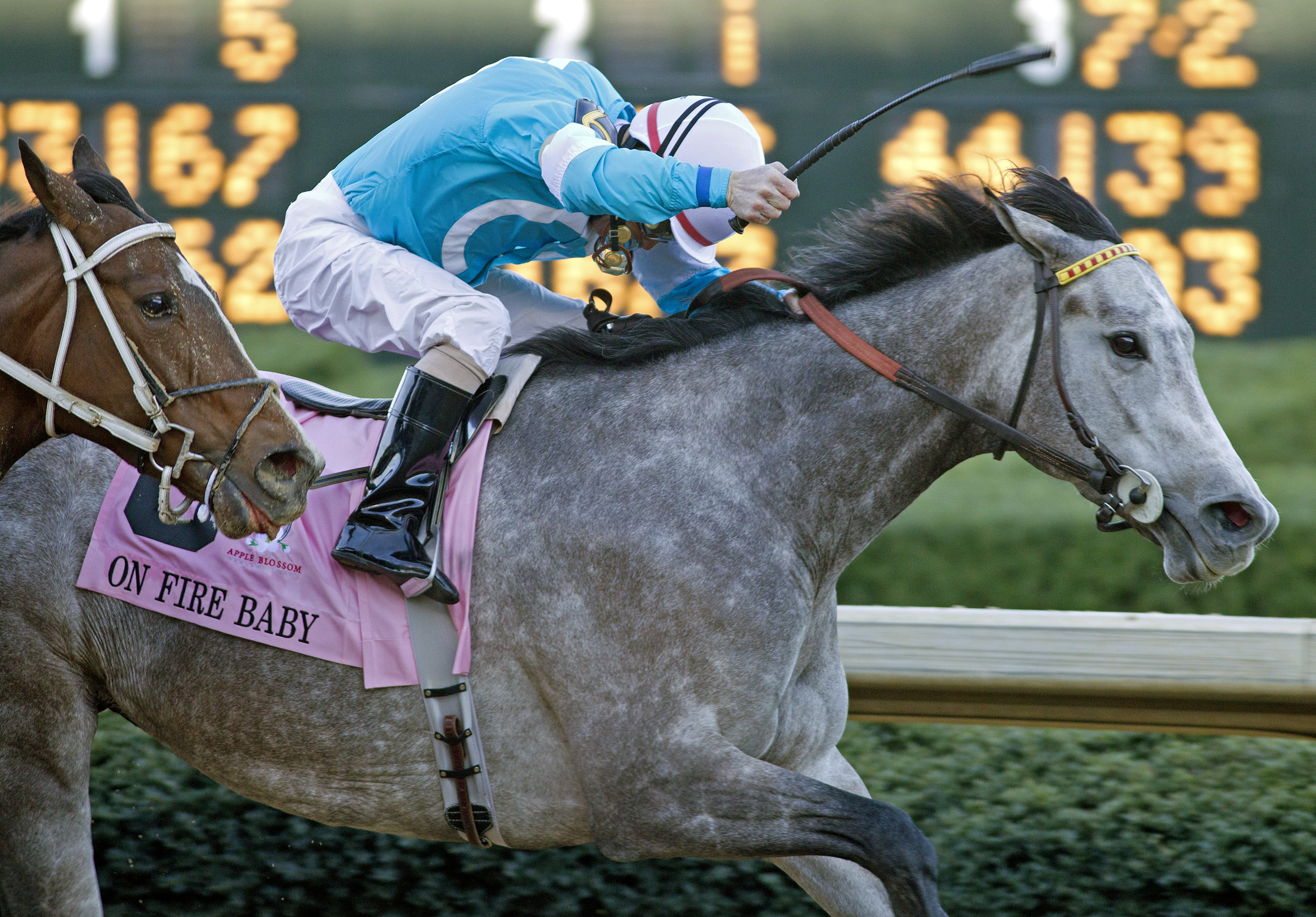 On Fire Baby wins the 2013 Apple Blossom