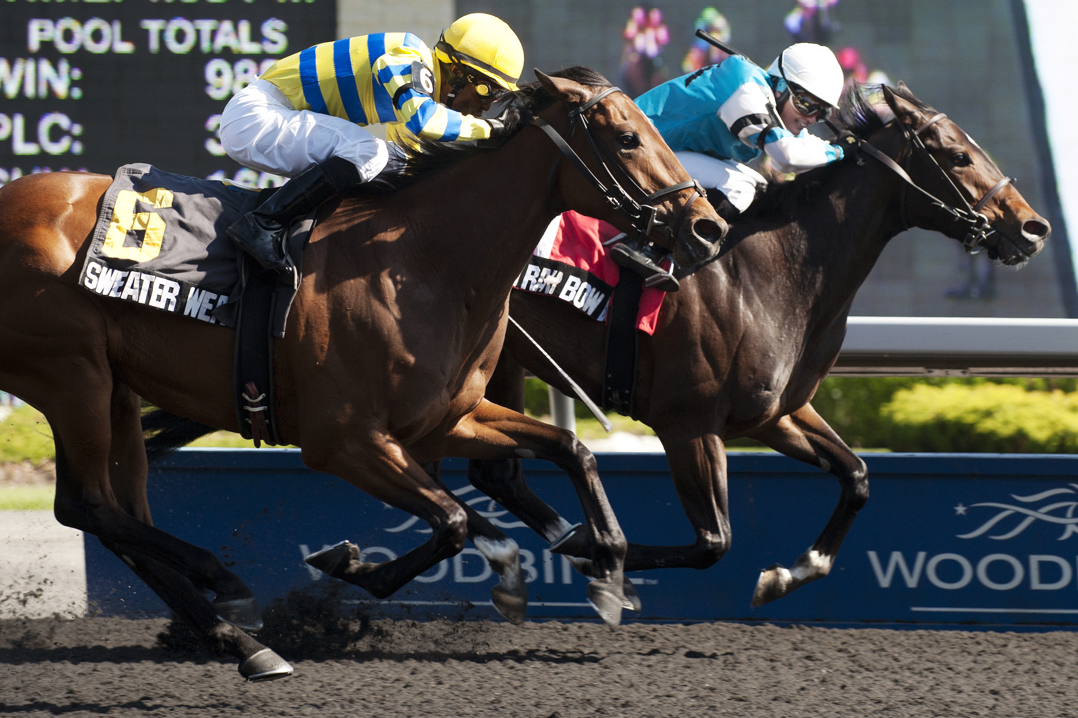 On Rainbow Bridge wins the Lady Angela