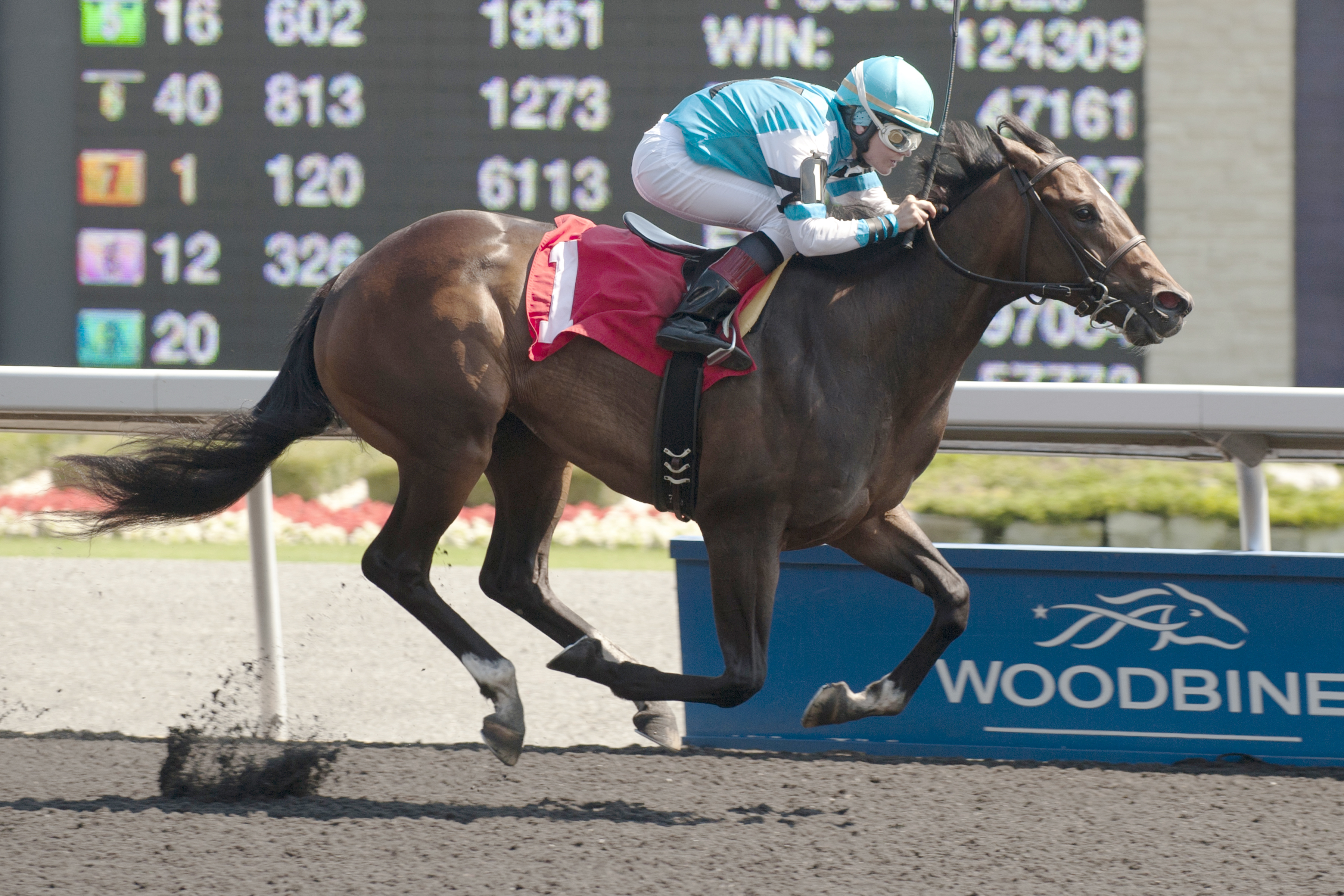 On Rainbow Bridge, Shady Well Stakes