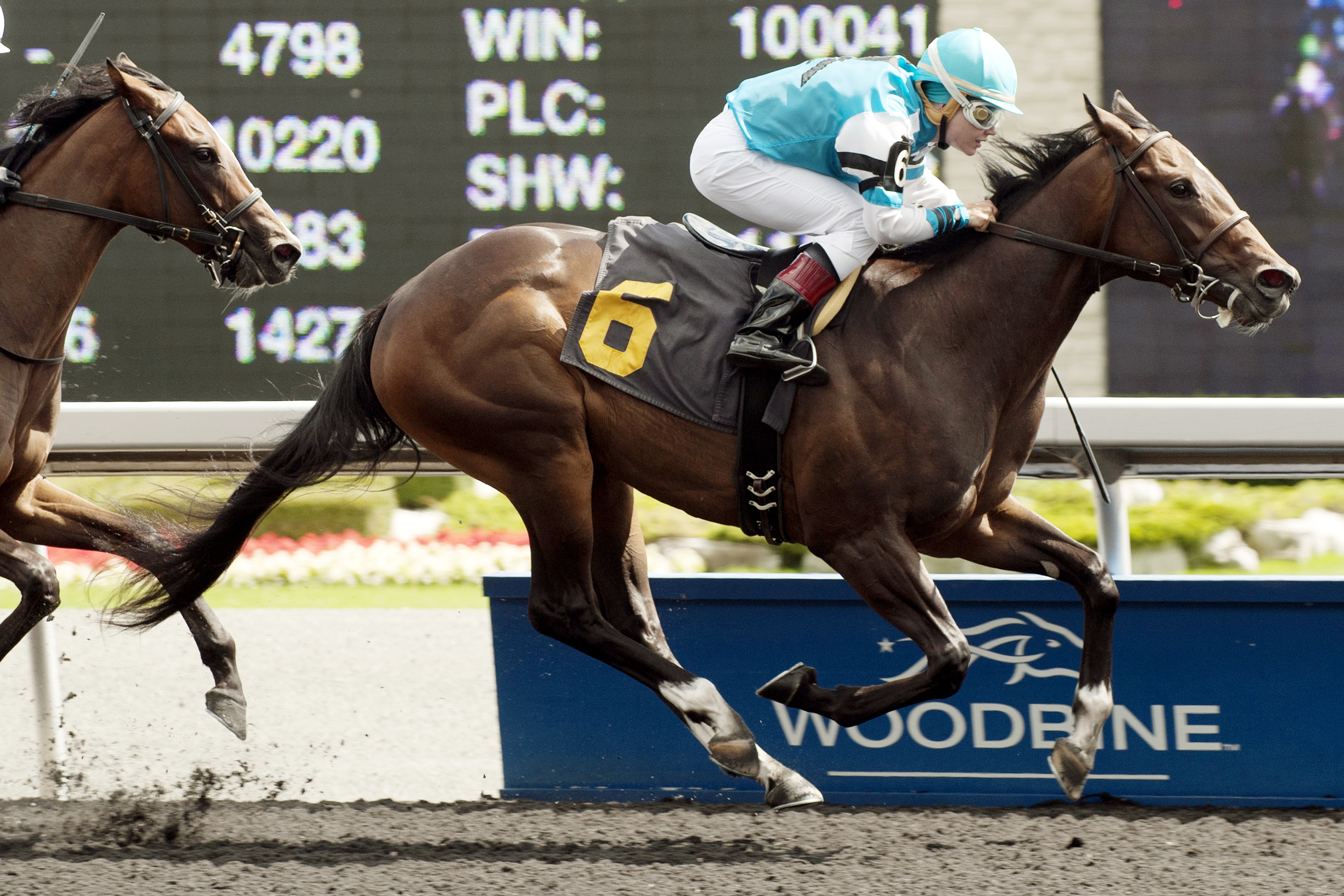 On Rainbow Bridge wins the Nandi Stakes