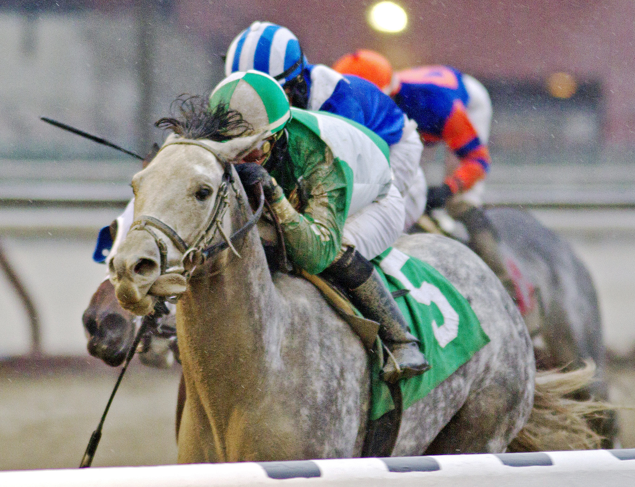 On Tap wins a maiden race