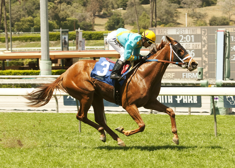 On The Backstreets wins the Ultrafleet
