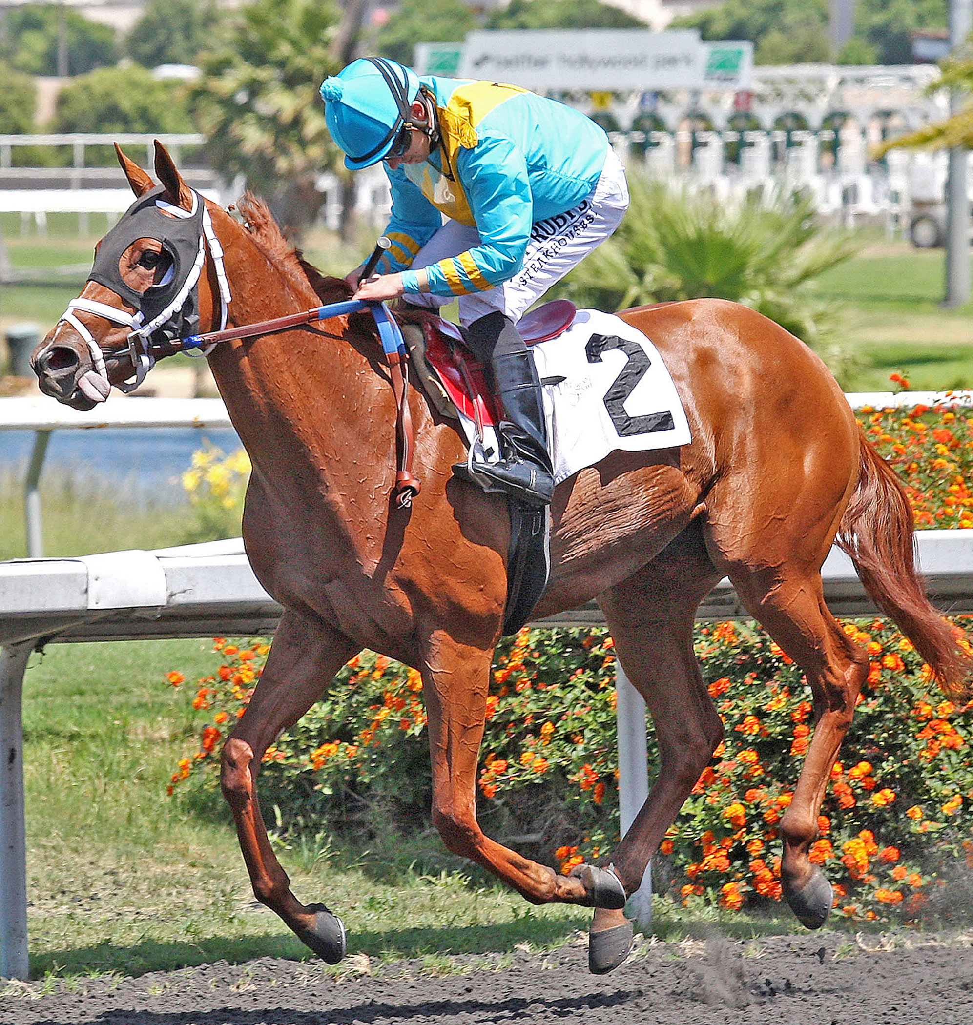 On the Backstreets, Cinderella Stakes