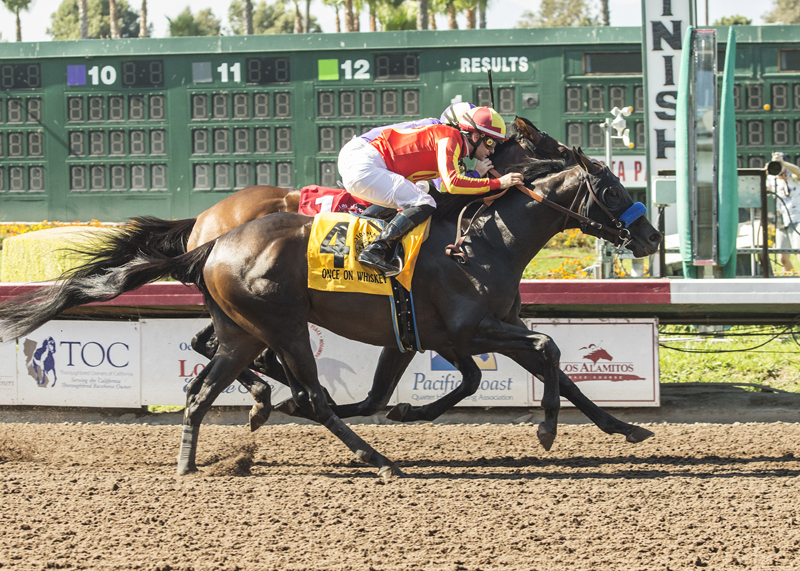 Once On Whiskey wins the 2018 Los Alamitos Derby