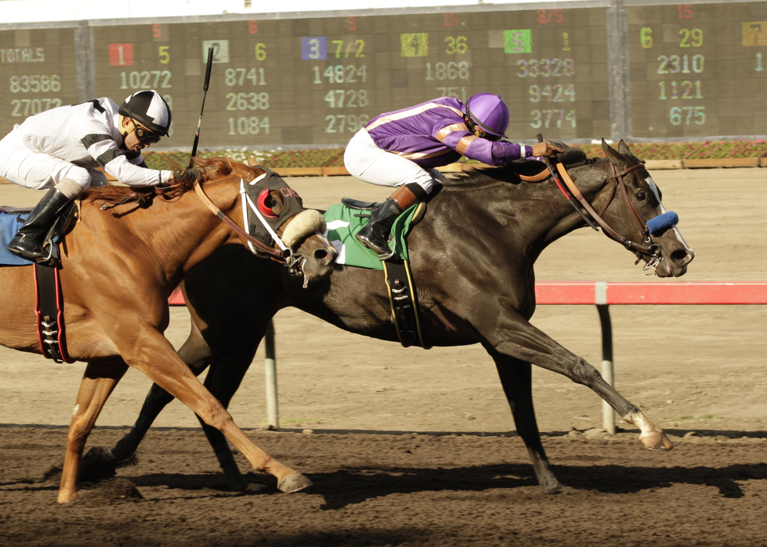 Ondine wins the 2013 Beverly J. Lewis
