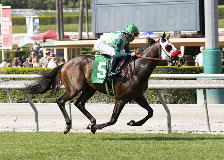 One Bad Boy wins an April 6 maiden race