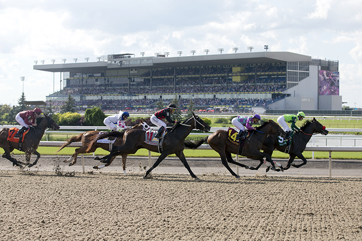 Queen's Plate Stakes at Woodbine Racetrack