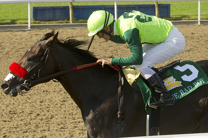 One Bad Boy wins the Queen's Plate