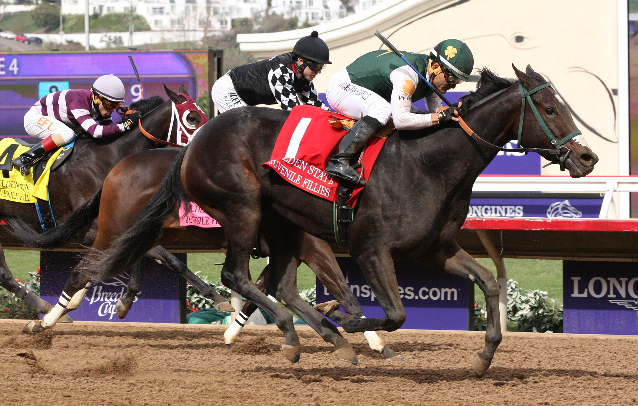 One Fast Broad wins the 2017 Golden State Juvenile Fillies