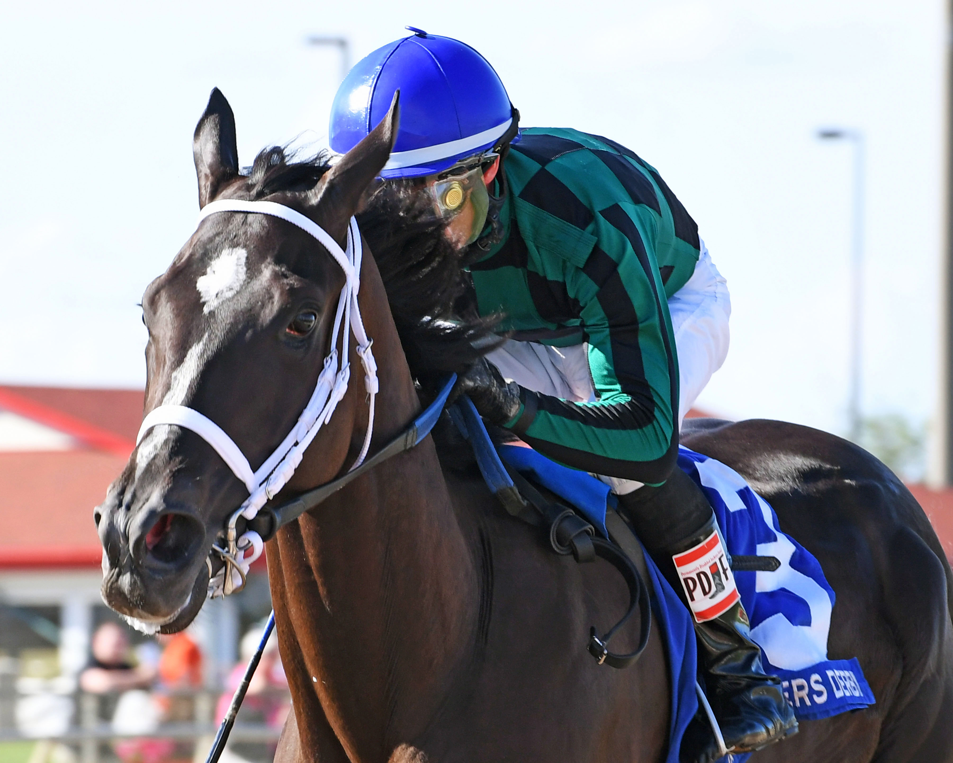 One Fine Dream wins the 2016 Iowa Breeders' Derby