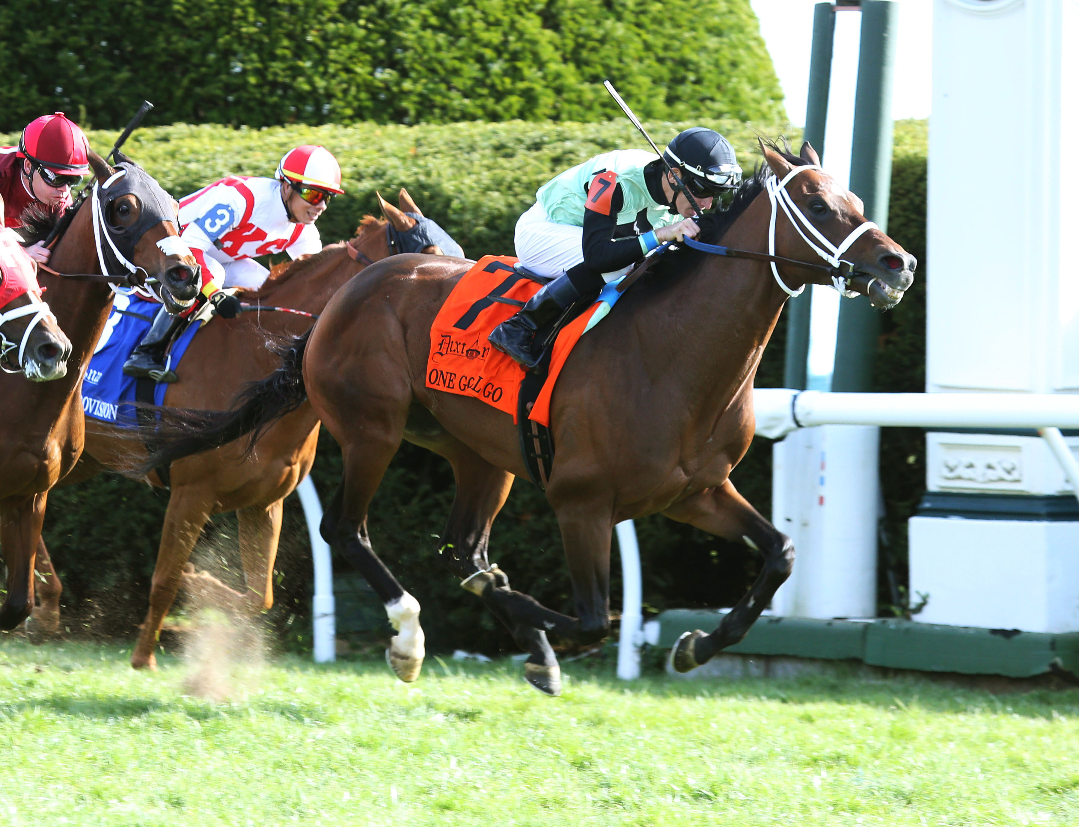 One Go All Go wins the 2018 Elkhorn Stakes