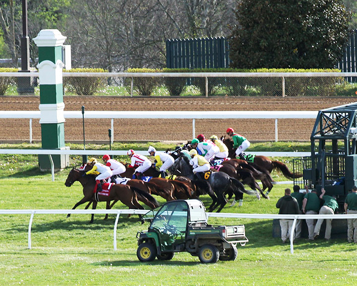 Keeneland turf racing