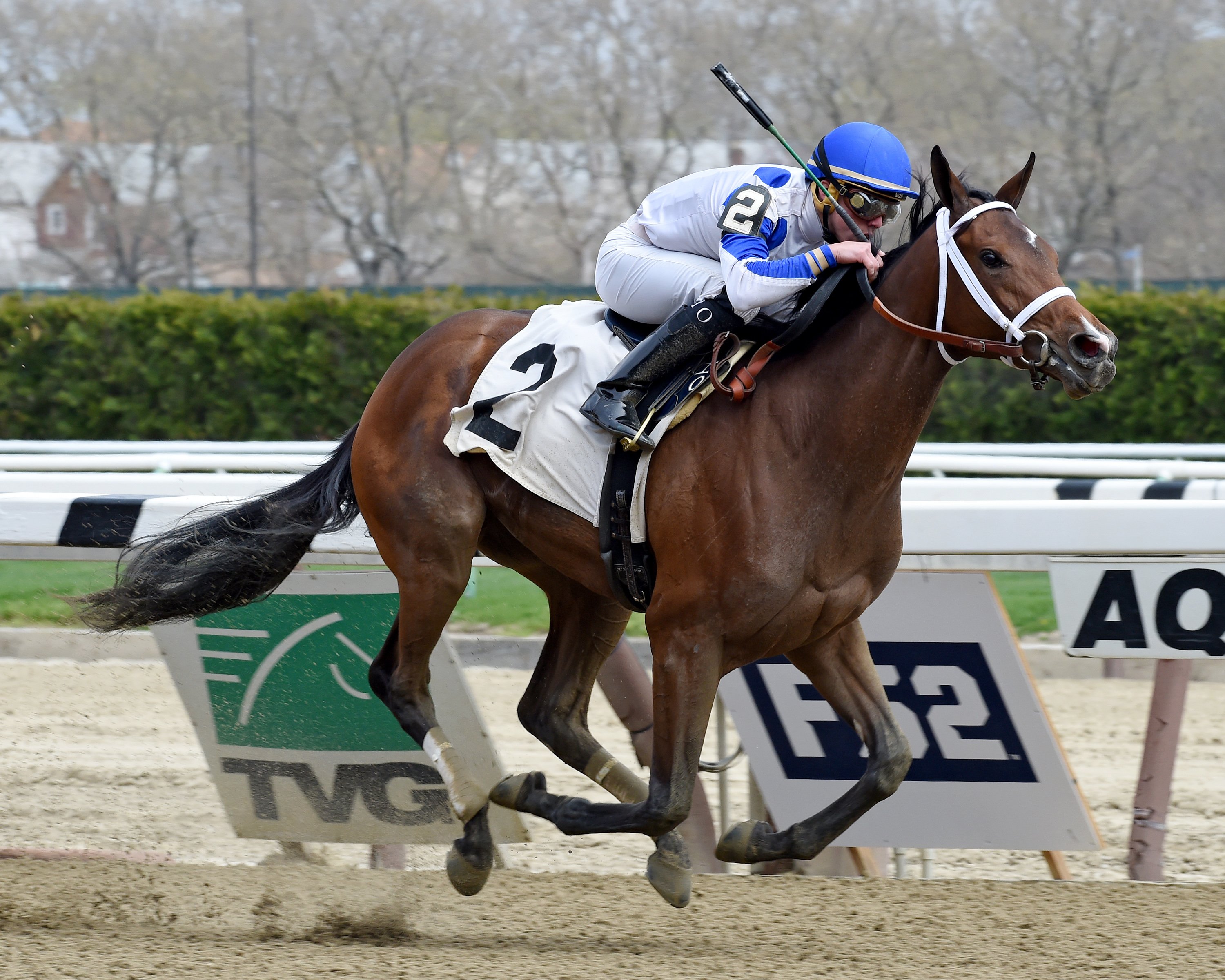 One Last Cast wins a maiden race