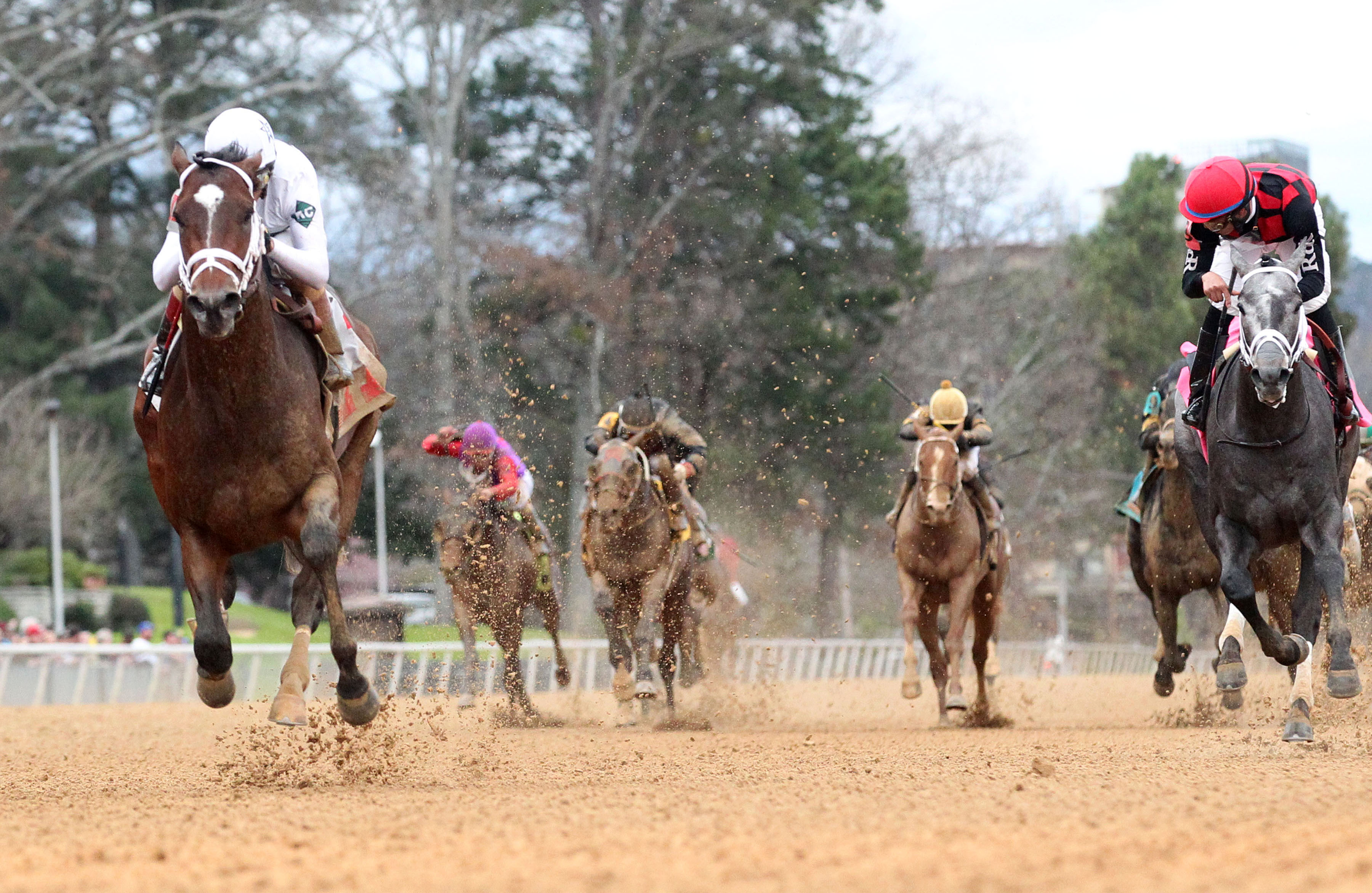 One Liner wins the Southwest Stakes