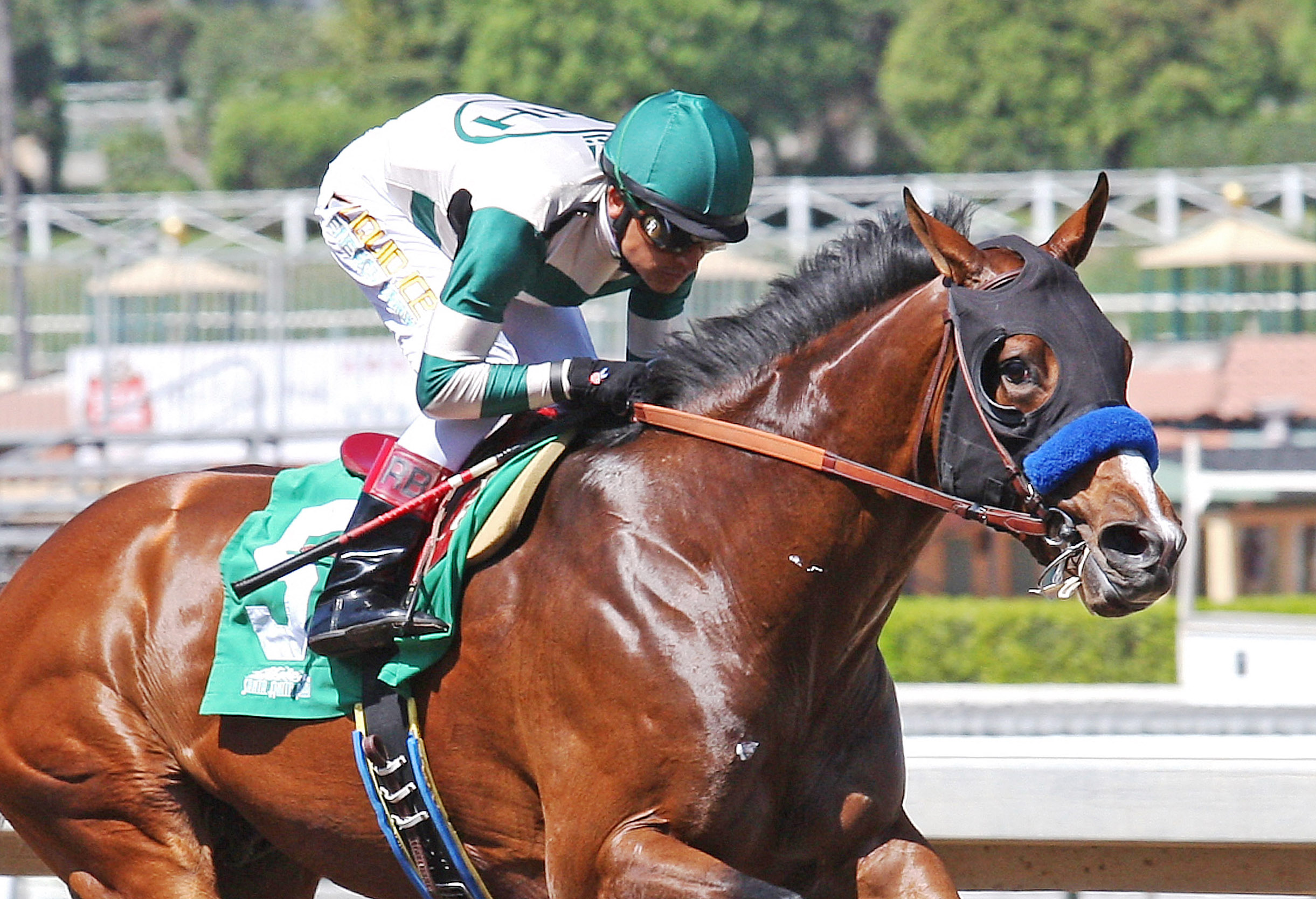 One Lucky Dane wins an allowance race