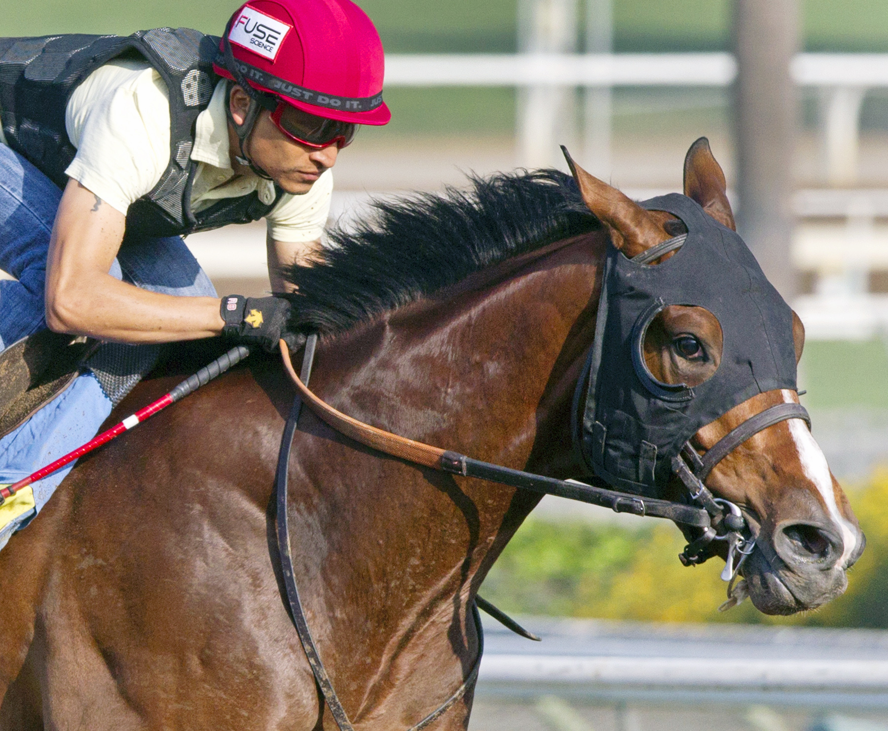 One Lucky Dane trains for the Breeders Cup