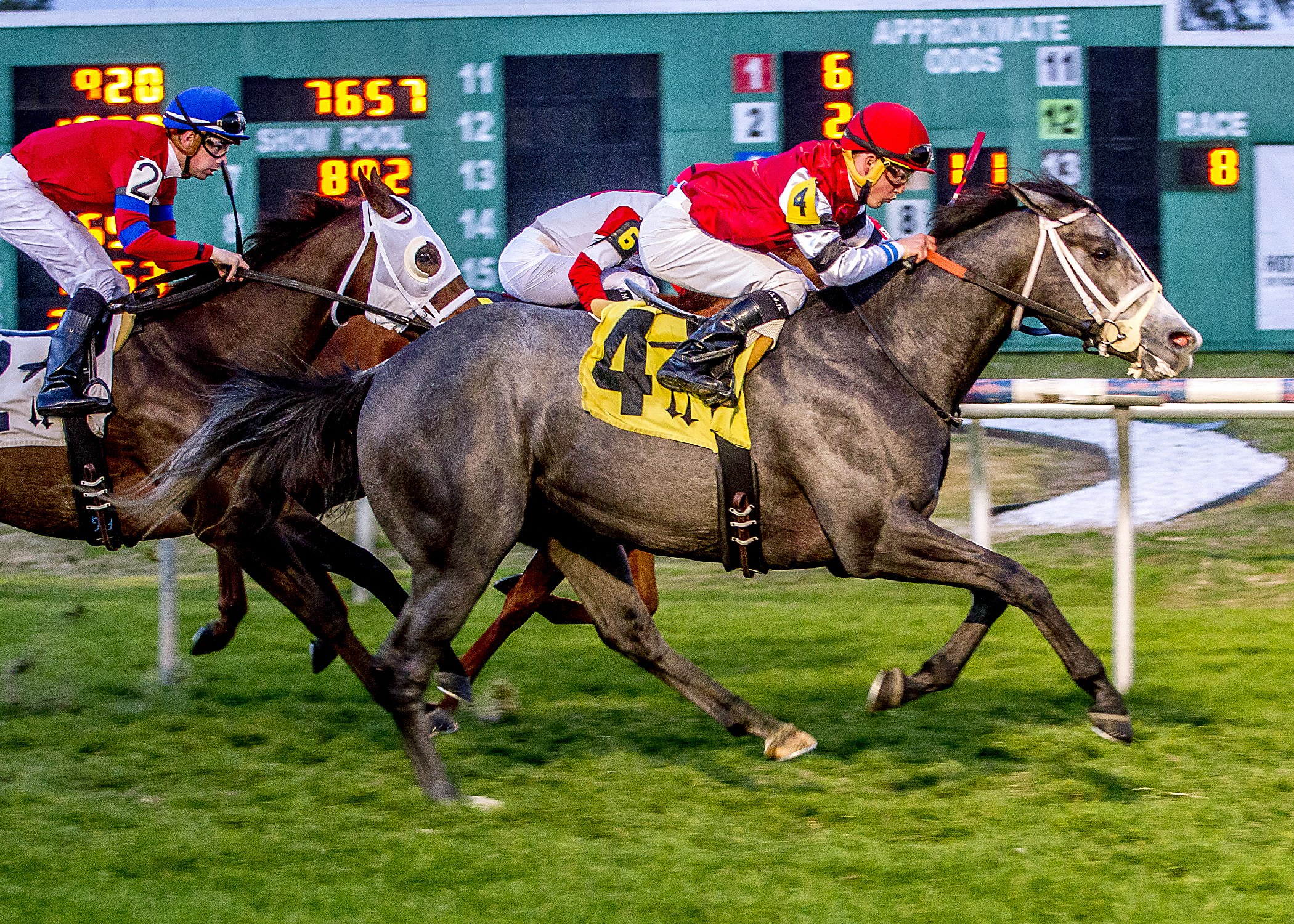 One Mean Man wins the Keith Gee Memorial Overnight Stakes