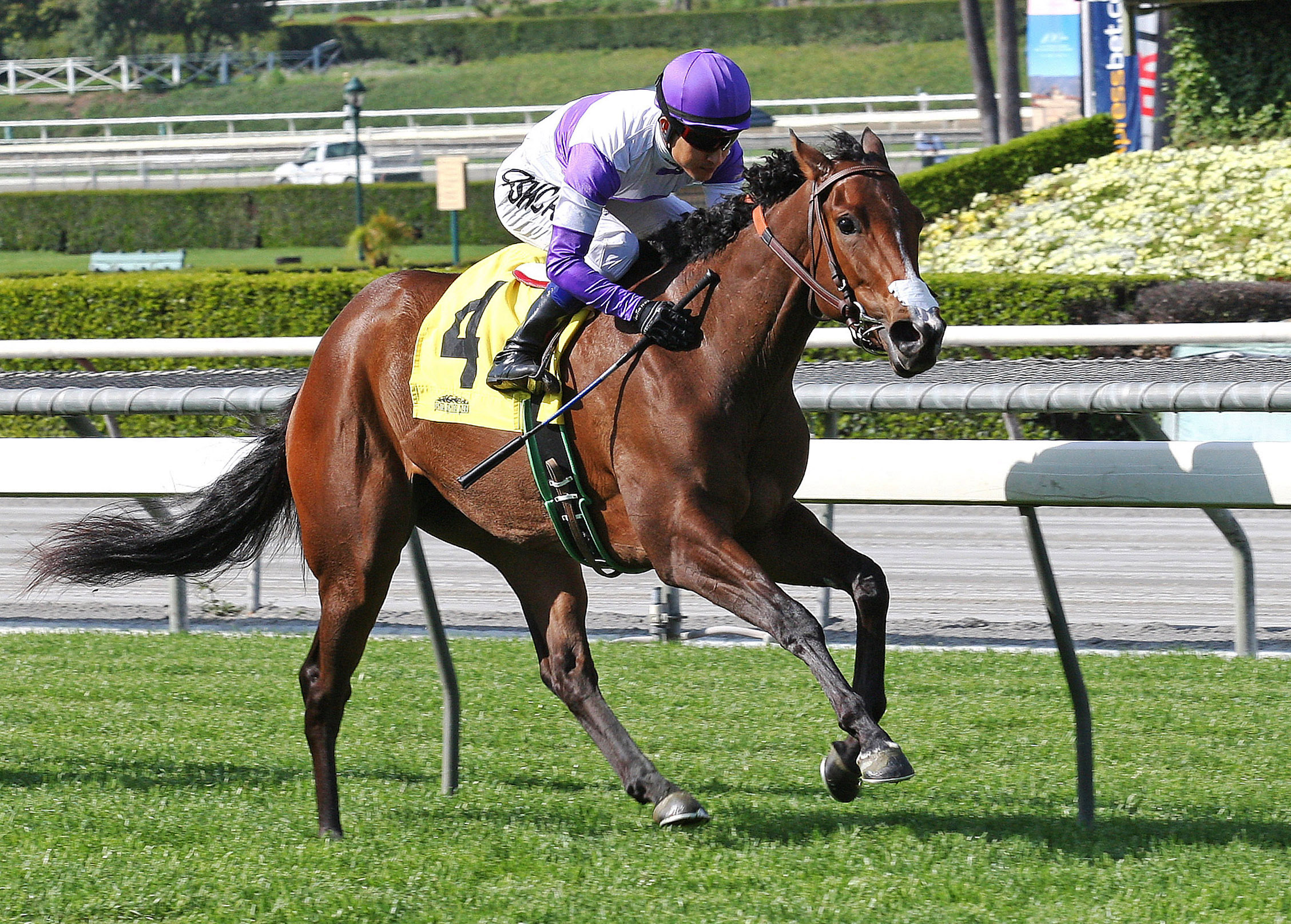 One More wins an 2014 allowance race