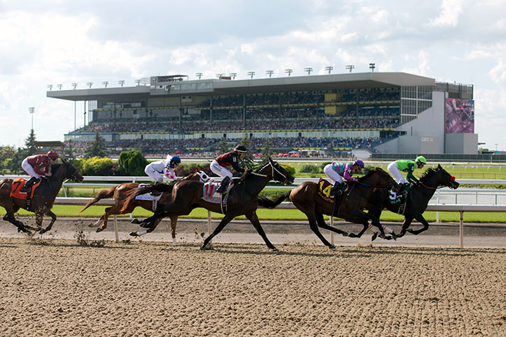 Queen's Plate Stakes at Woodbine Racetrack