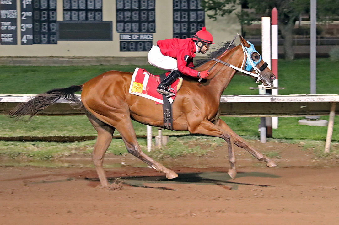 One Mark wins the 2021 Casino At The Downs Derby at Albuquerque Downs