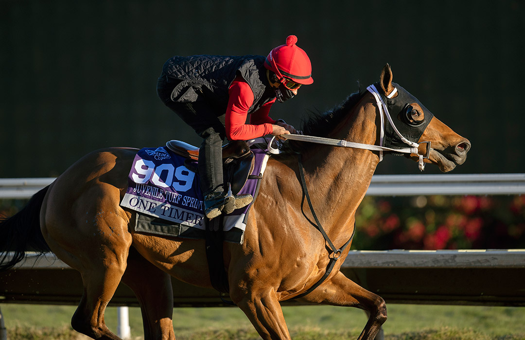One Timer trains at Del Mar on Oct. 28