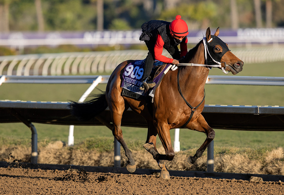 One Timer trains at Del Mar on Oct. 28