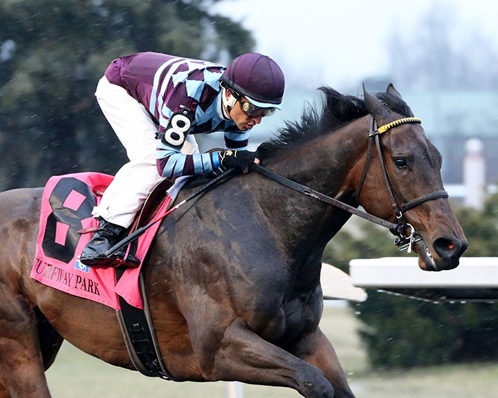 Onthewaytonevrland wins the 2019 Rushaway Stakes