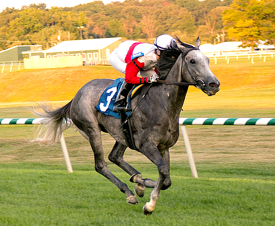 Onus wins an Aug. 14 allowance race