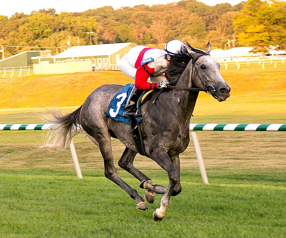 Onus sets a course record in an allowance win at Laurel Park