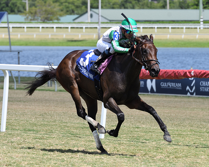 Onyx wins the Our Dear Peggy Stakes at Gulfstream Park
