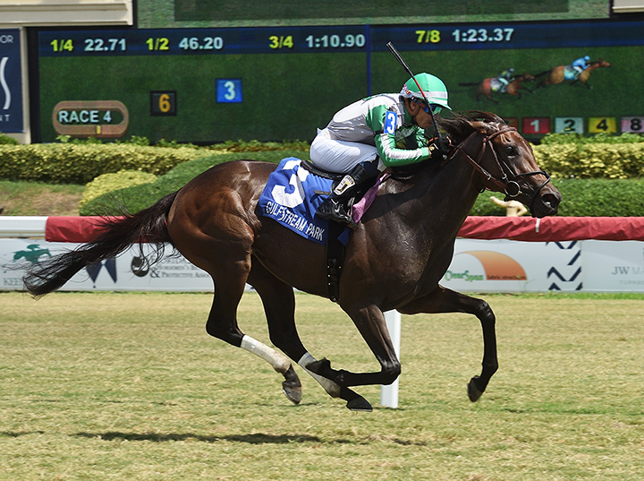 Onyx wins the Our Dear Peggy Stakes at Gulfstream Park