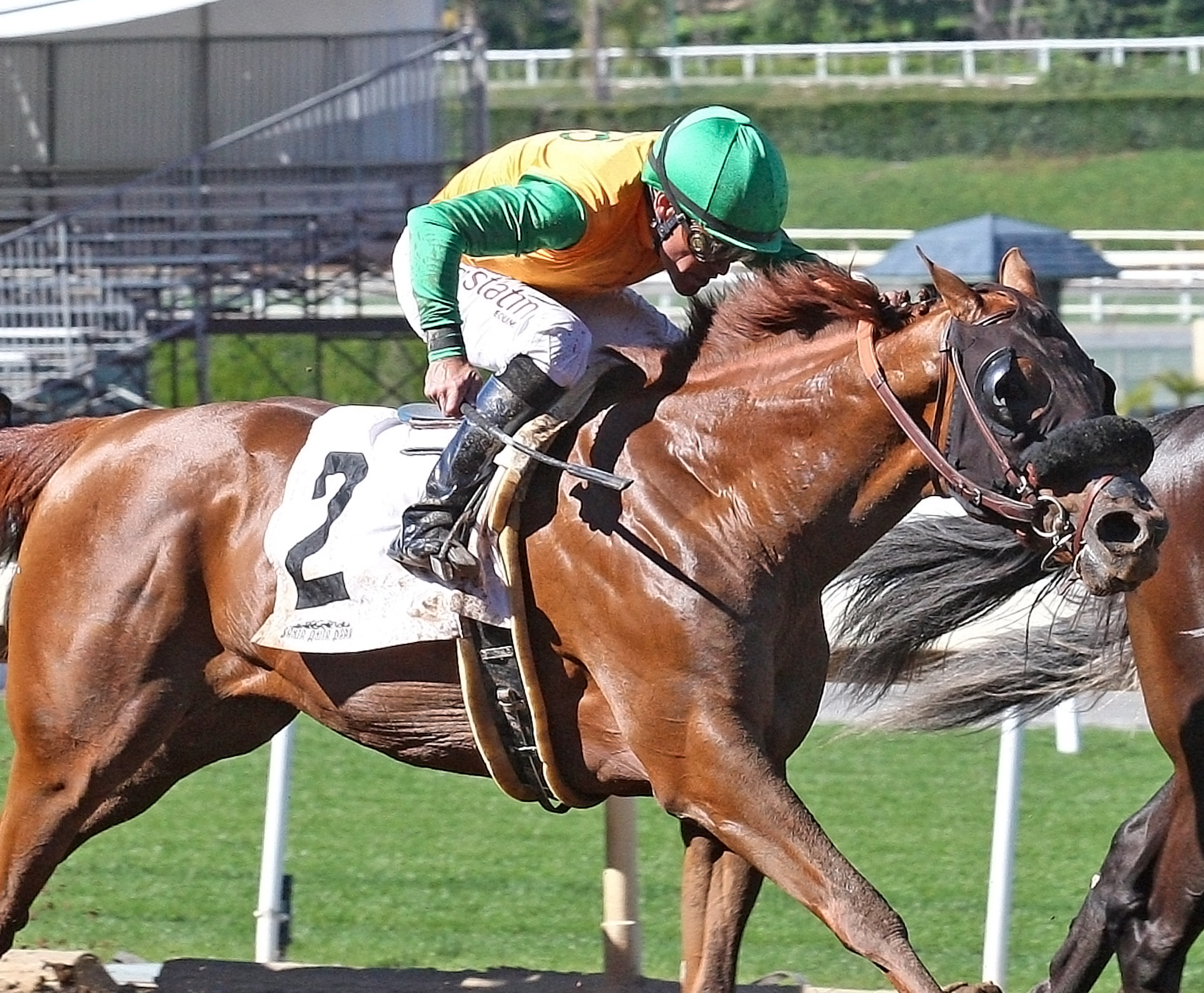 Gary Stevens finishes second aboard Oopper Wallah