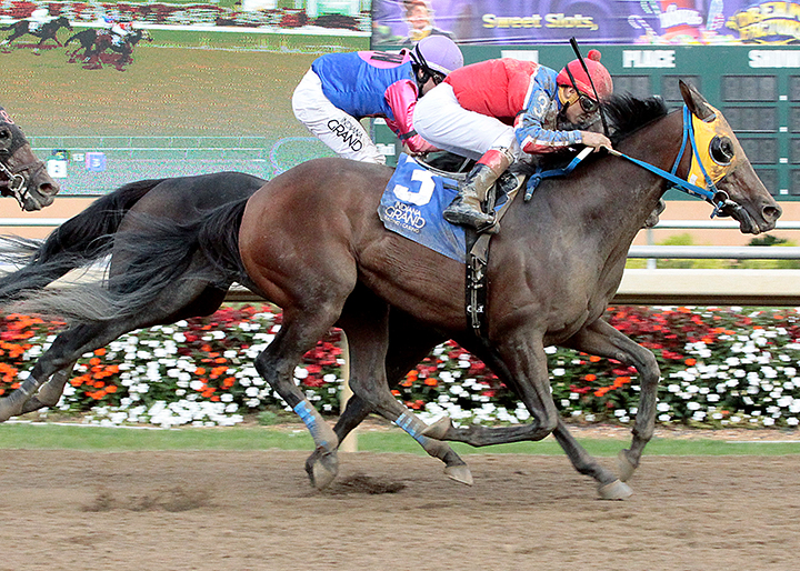 Operation Stevie wins the 2019 Gus Grissom Stakes at Indiana Grand