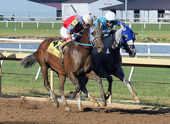 Operation Stevie (left) wins the 2019 Gus Grissom Stakes at Indiana Grand