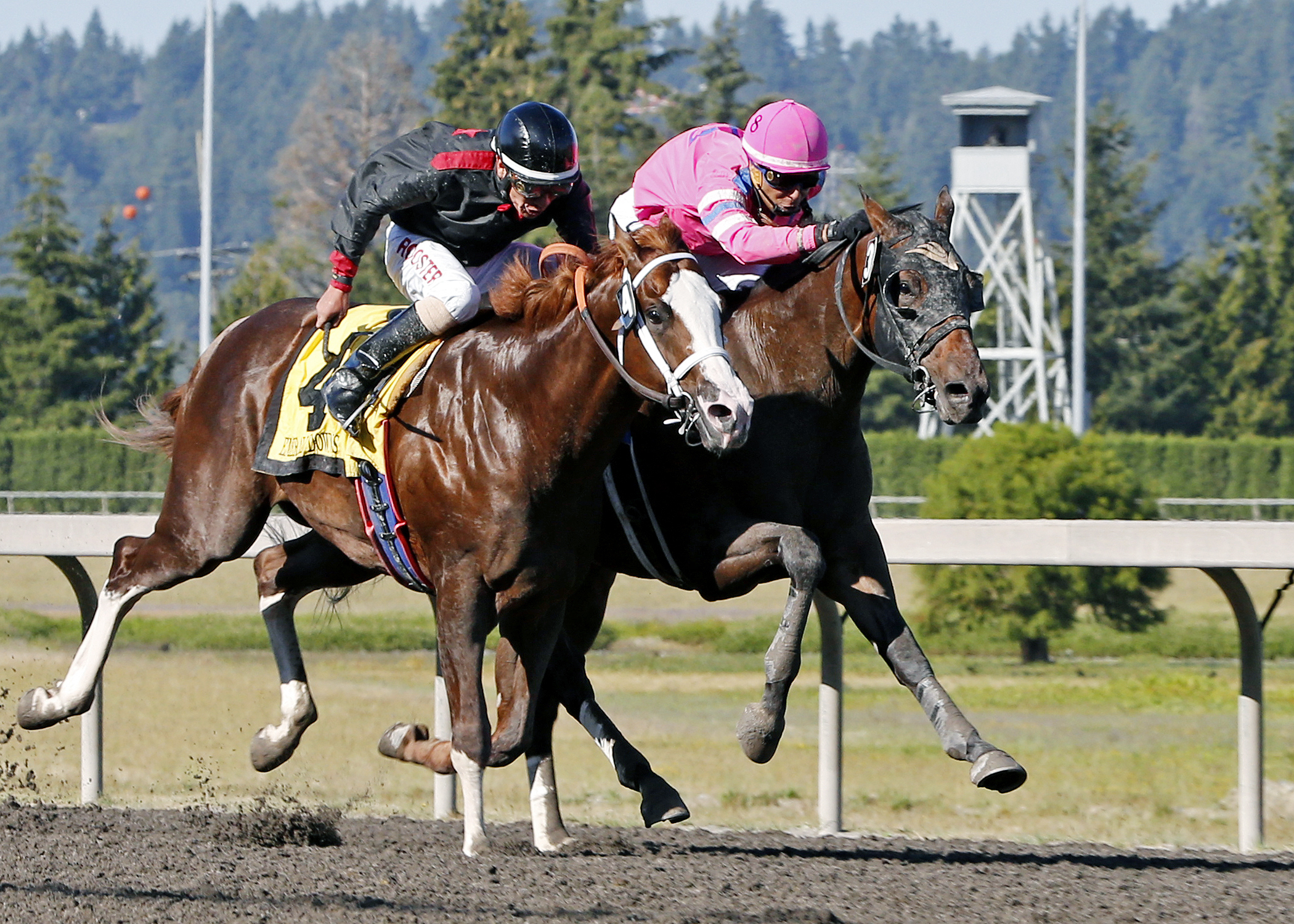 Opportunistic wins the Emerald Downs Derby